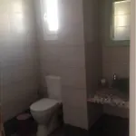 Cycladic House In Rural Surrounding 2 Σπίτι διακοπών *